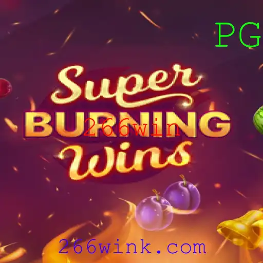 Explorando o mundo de SuperBurningWins